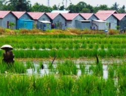 PARQ Ubud di Gianyar Bali Resmi Tutup,Investor Baru Bongkar Bangunan Demi Pulihkan Lahan Hijau