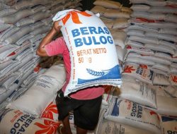 Ombudsman Peringatkan Potensi Krisis: Stok Beras Impor Menumpuk di Gudang Bulog, Sementara Pasokan di Pasar Menipis