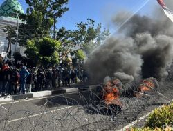 13 Aparat Luka-Luka dalam Demo Tolak Kenaikan PBB di Bone