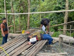TERUNGKAP! 7 Anggota KKB Tersangka Pembunuhan 2 Petugas Brimob di Nabire, Ini Rincian Peran Masing-Masing